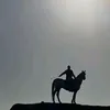 fareselrif