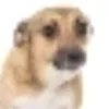 abbbabidaia