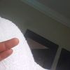 official_lastborn01