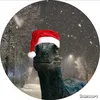 username1910076