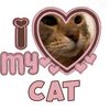 5star._kitty