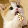 lixm_x0