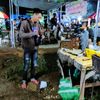dhel_ank13