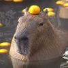 capibarape