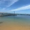 tt21291