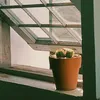 khoailang_05