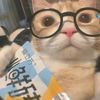 leebit_.xzcats3