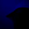 sams_042