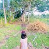 umadeviashok