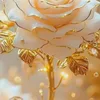 princessdno722