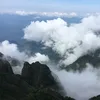 thanhduoc_fising22
