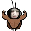 qynn_tragn
