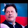 shafiqueahmed4347