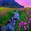 nazeer.alazazy