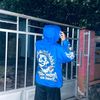 fall_arpansa86