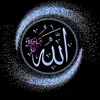 user7421048240306