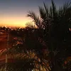 alenezi__76