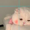ftoom0043