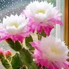 tm.nguyn7736