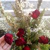 heba_hamee