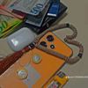 salman1239090