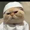 mohamed246913