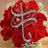 user7480551173404