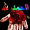 dyei2r496a28