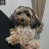 marciocosta9925