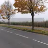samsamsam5965