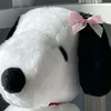 clara.rkv