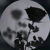 zainab024_