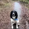 kevmcm_