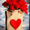 user86017560172517