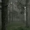 mira_purple13
