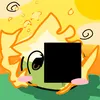 owly6164