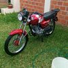 gustavo12729