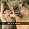 goofybeo