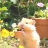 rtlsyh