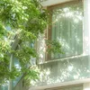 bngc0310