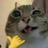 mrskennaboy