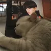 ignooy.gnuj