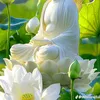 kiepnan.25