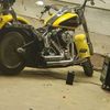 warrenmatthews575