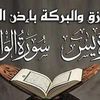 user92731795559003