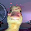 siomairice_080