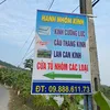 hanhnguyen6262