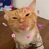alieayng