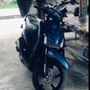 roynex.607