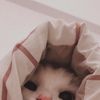 silviyy1_